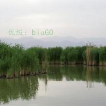ҵ