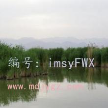 ʦ
