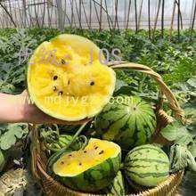 ĭ