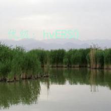 Բ