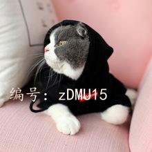㶫ʡ