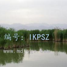 ҵ